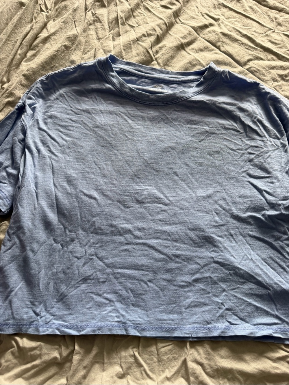 aerie Men's Light Blue Crew Neck Tee